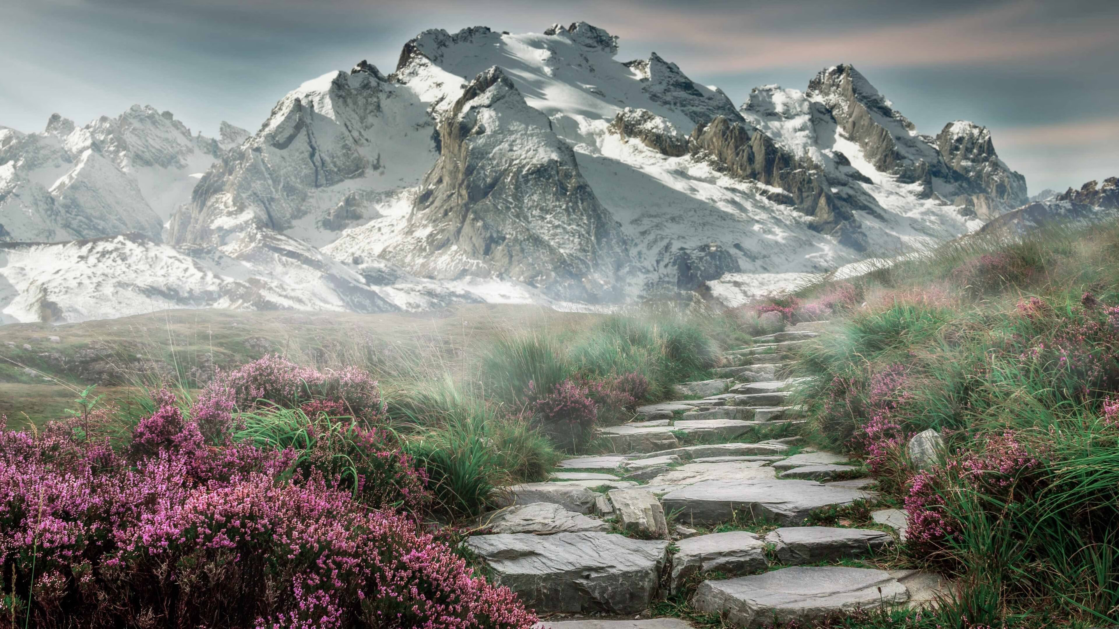 v7.2.5 稳定更新正式发布，2026年5月10日，开启高效可靠新篇章